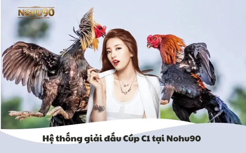 Đá Gà Cúp C1 Nohu90