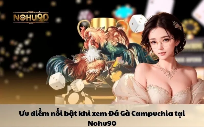 Ưu điểm của Đá Gà Thomo Nohu90