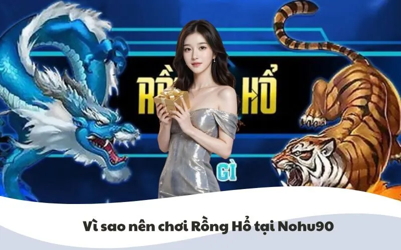 Hình ảnh vì sao nên chơi Rồng Hổ tại Nohu90